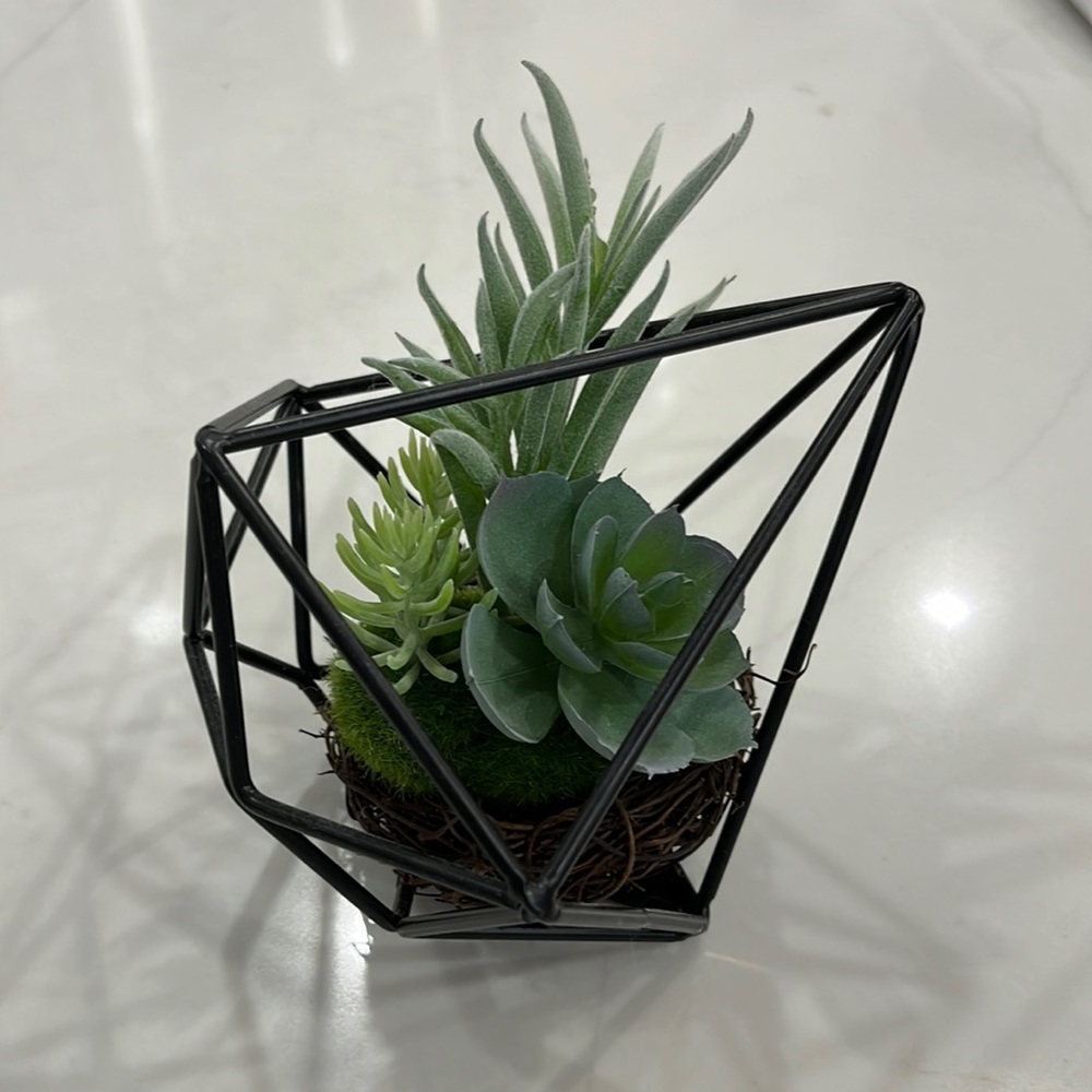 Decorative Faux Succulent in a Nest